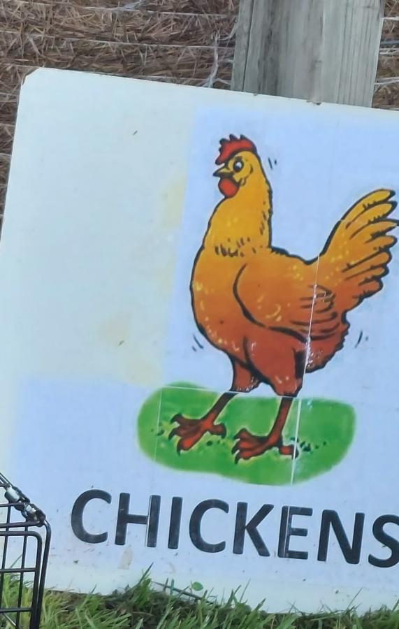 Chicken station sign